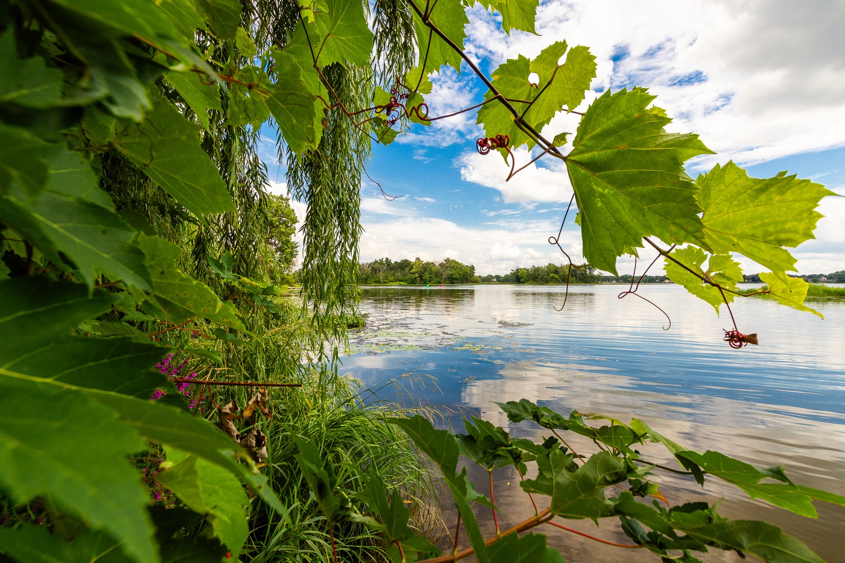 Vue sur l’eau paisible bordée de feuillage à Vaudreuil-Dorion